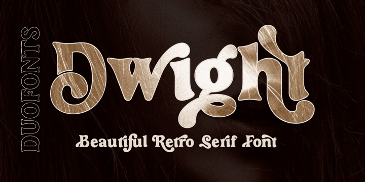 Type Empire  10 Premium Serif Font Bundle Font Poster 2