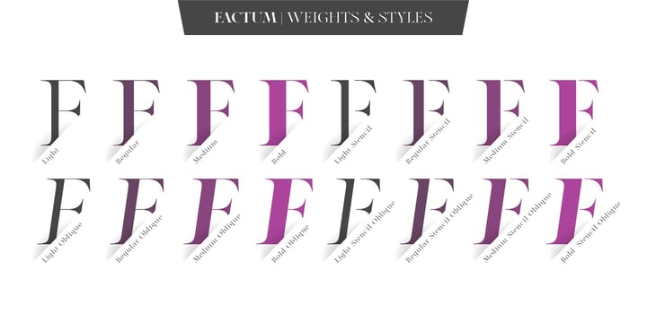 Modern Heritage Font Duo Font Poster 2
