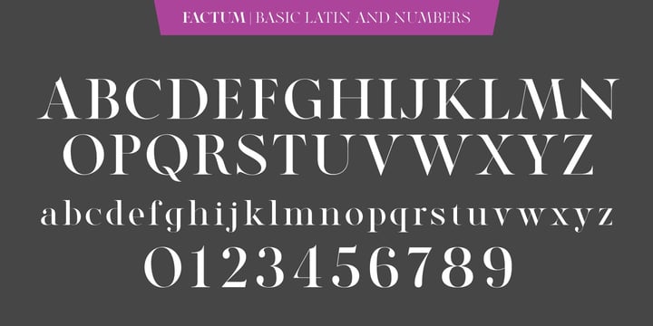 Modern Heritage Font Duo Font Poster 8