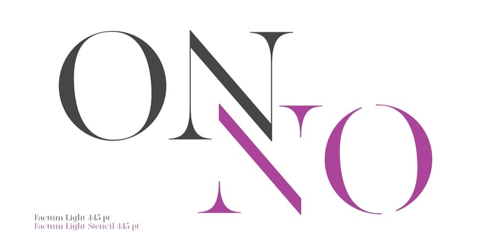 Modern Heritage Font Duo Font Poster 4