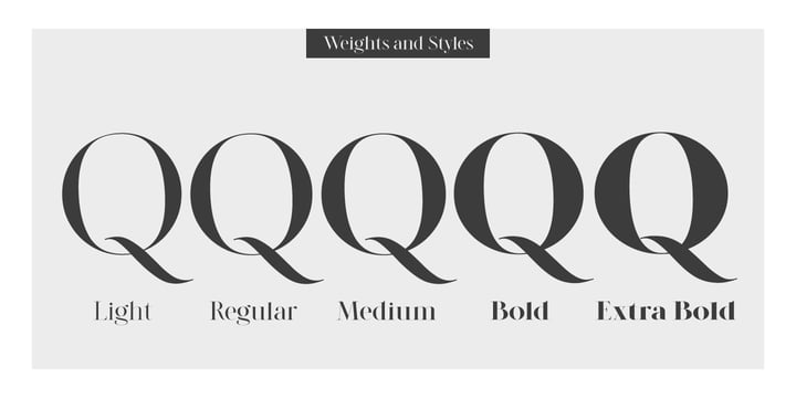 Modern Heritage Font Duo Font Poster 12
