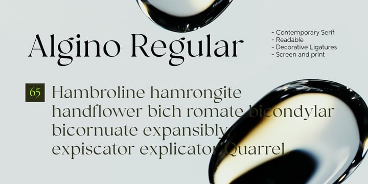 The Regulars Font Poster 3