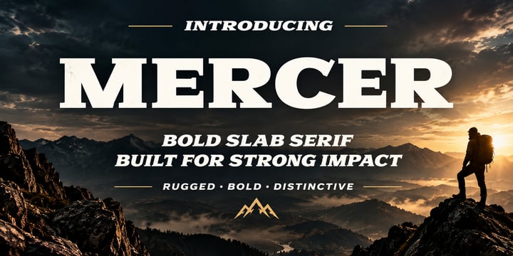 Elegant and Creative Font Bundle Font Poster 4