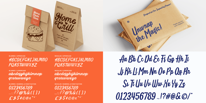Script Font Collection Font Poster 5