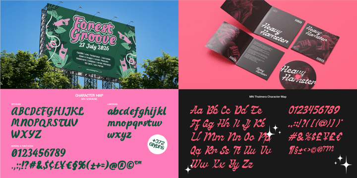 Script Font Collection Font Poster 8