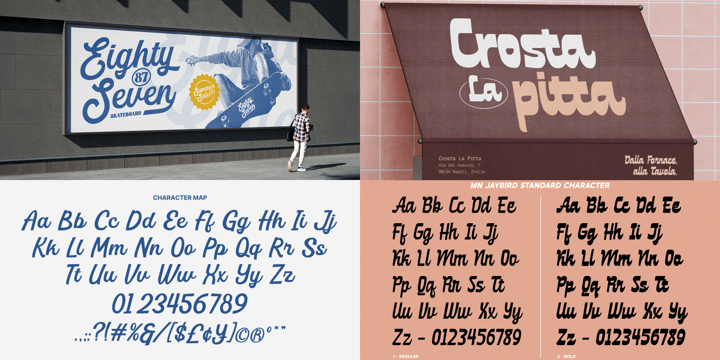 Script Font Collection Font Poster 6