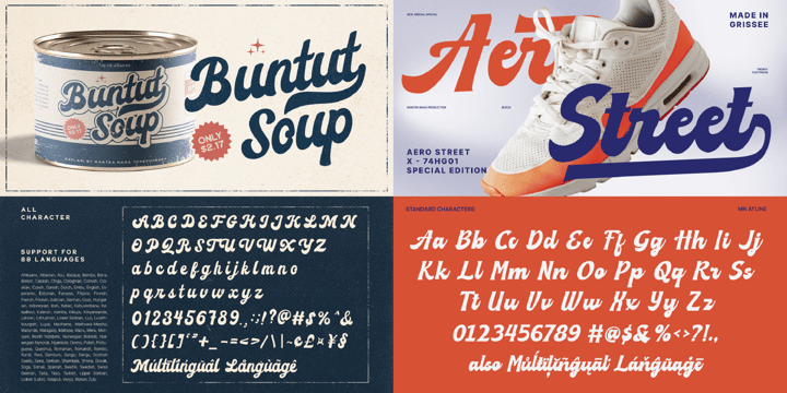 Script Font Collection Font Poster 3