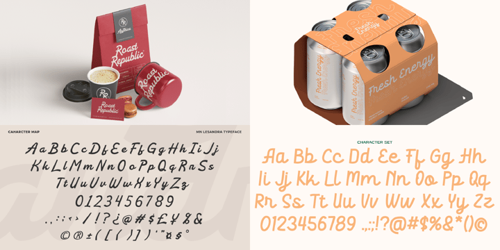 Script Font Collection Font Poster 2