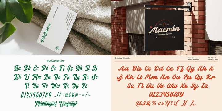 Script Font Collection Font Poster 4
