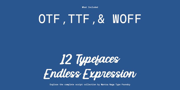 Script Font Collection Font Poster 7