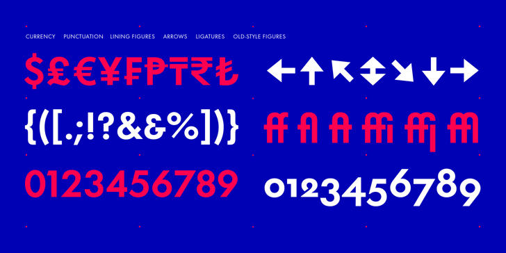 Futura Now  Font Poster 13