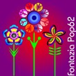 Fontazia Pop62