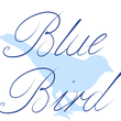 Bluebird