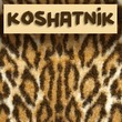 Koshatnik