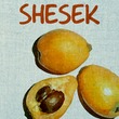 Shesek