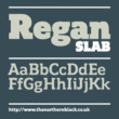 Regan Slab™