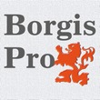 Borgis Pro™