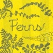 Ferns