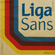 Liga Sans™