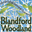 Blandford Woodland NF