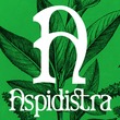 Aspidistra