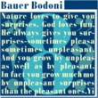 Bauer Bodoni™