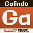 Galindo Pro