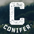 Conifer