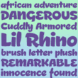 Lil Rhino™