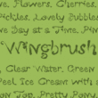 Wingbrush™