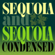 Sequoia™