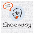 Sheepdog