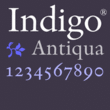 Indigo™