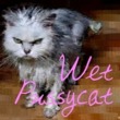 Wet Pussycat™