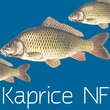 Kaprice NF