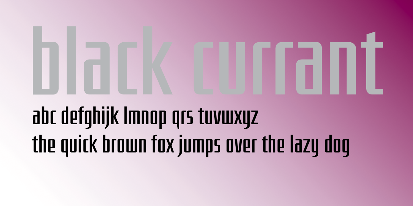 Black Currant