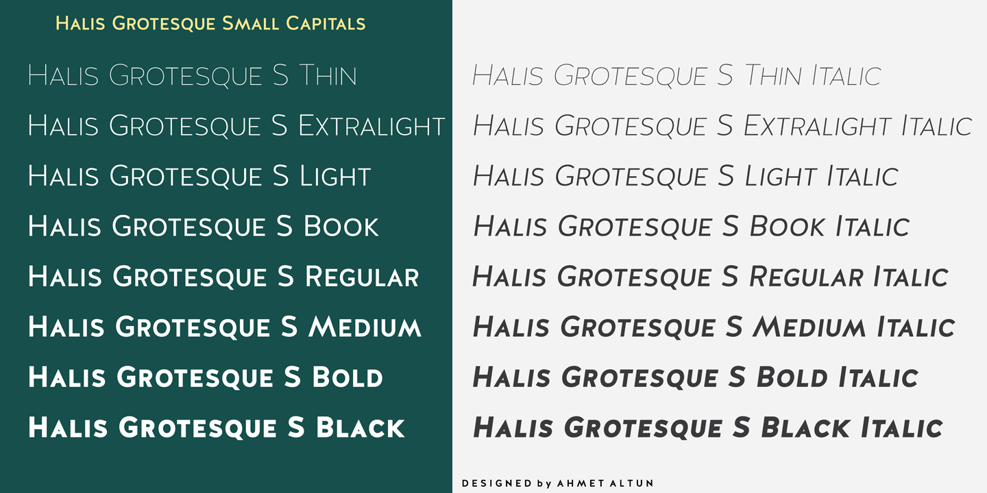 Halis Grotesque