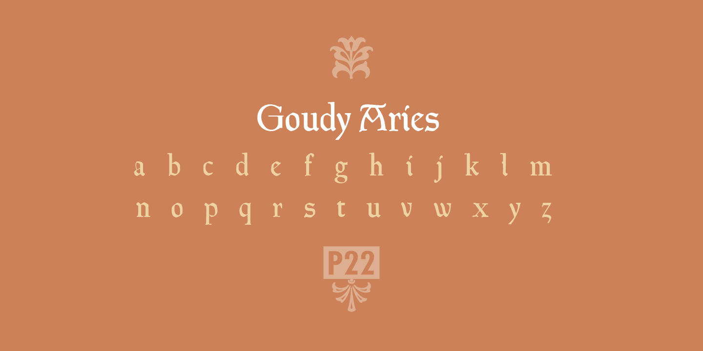 P22 Goudy Aries™