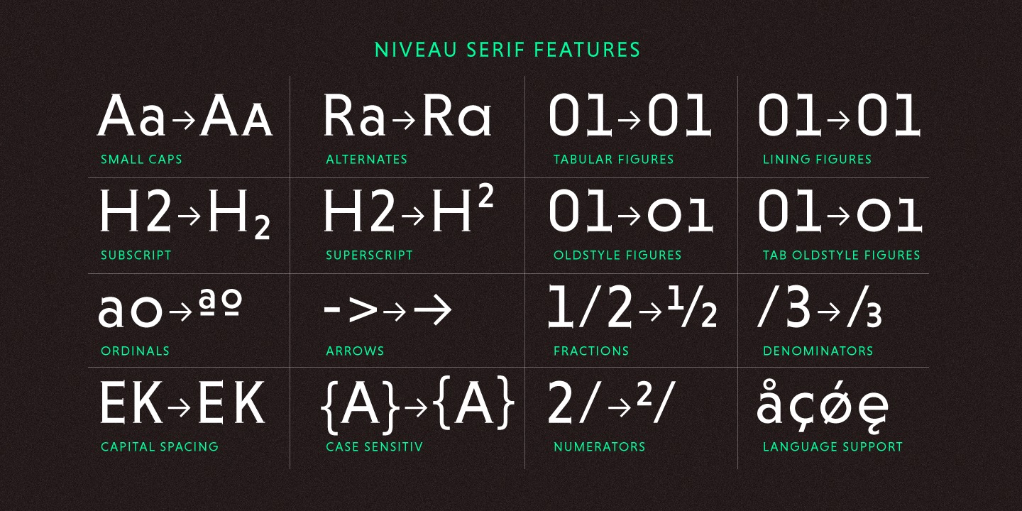 Niveau Serif™
