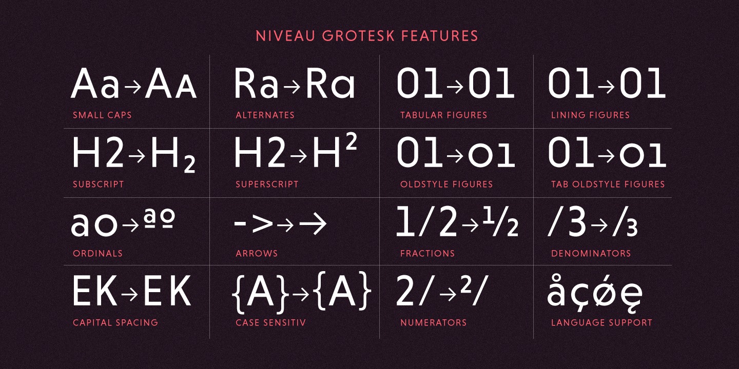 Niveau Grotesk™