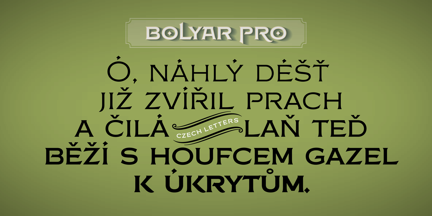 FM Bolyar Pro