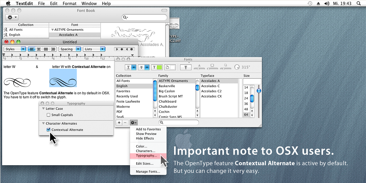ASTYPE Ornaments Accolades A™