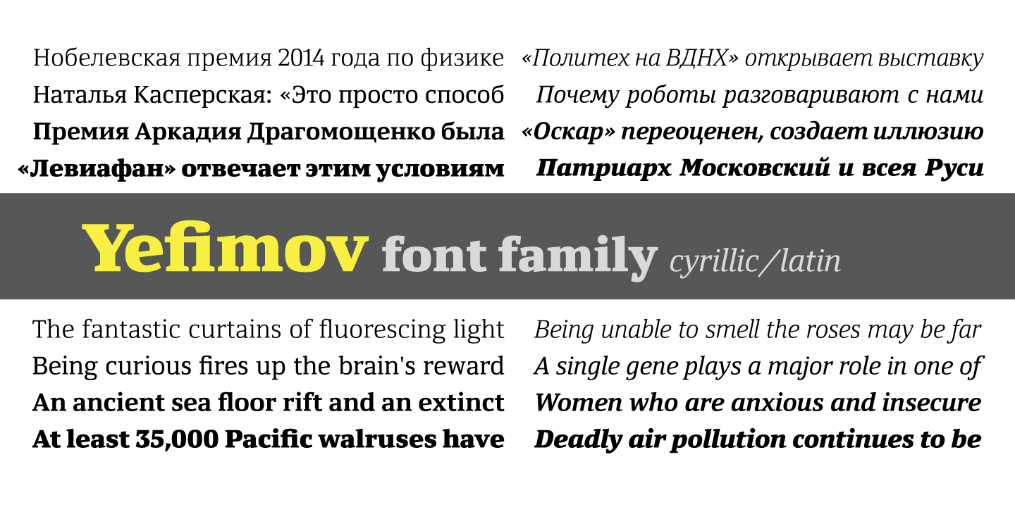 Yefimov Serif