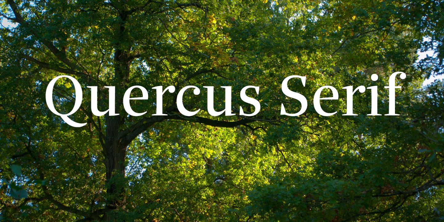 Quercus Serif™