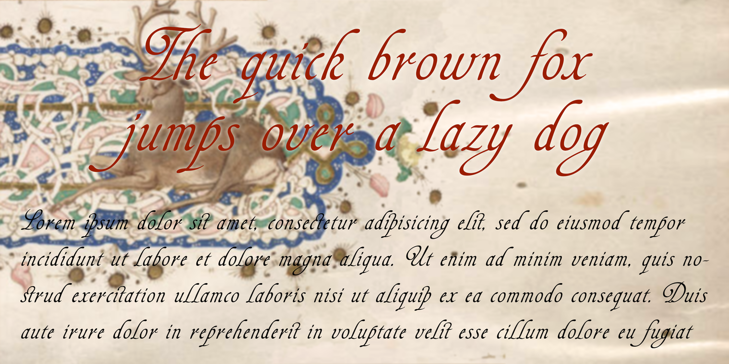 Agedage Cancelleresca™