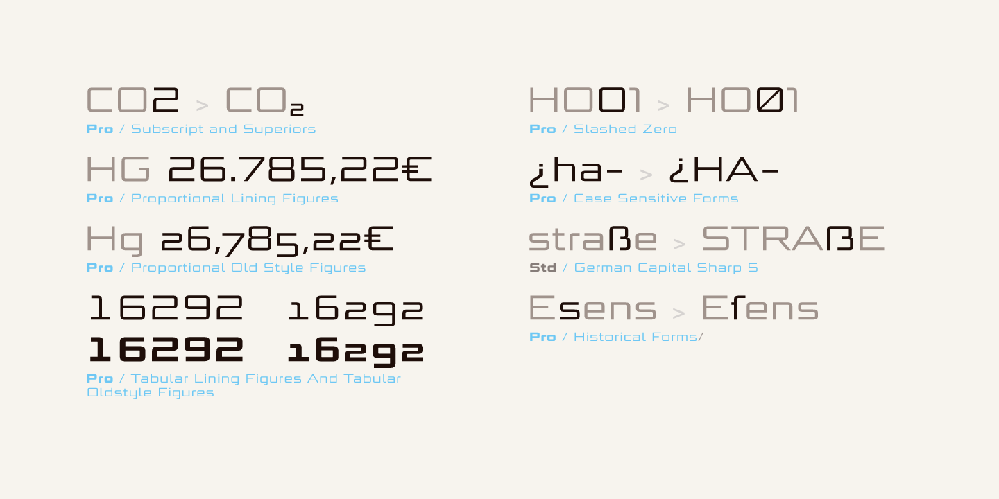 Bunken Tech Sans Wide