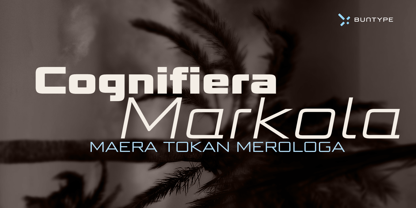 Bunken Tech Sans Wide