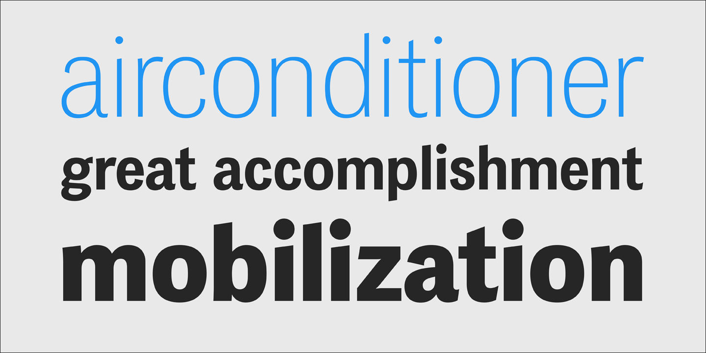 PF Das Grotesk Pro™