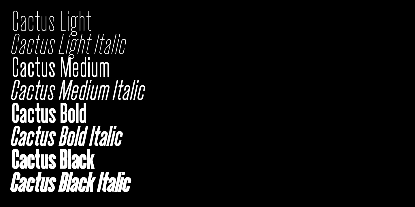 Cactus Fonts