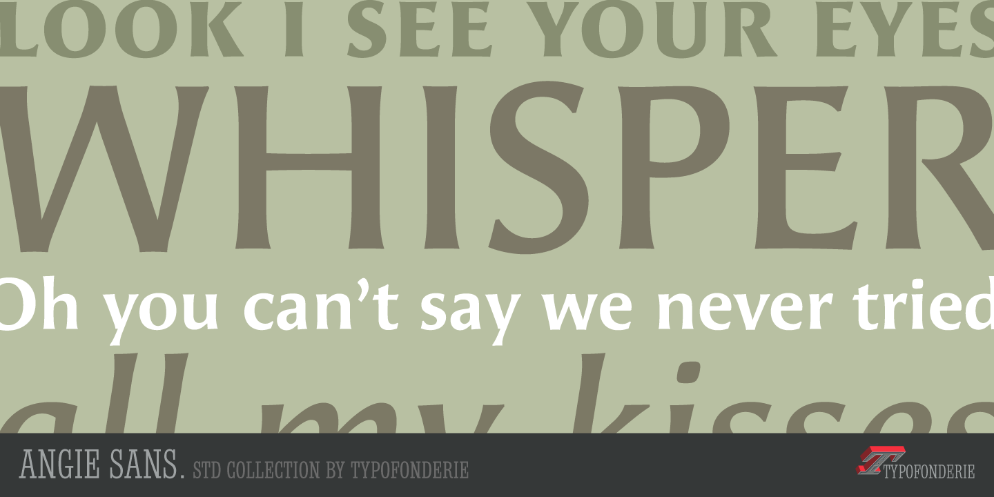 Angie Sans Std®